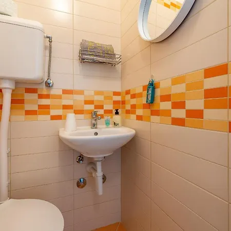 Roje * 罗戈兹尼察